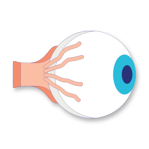Obat Mata