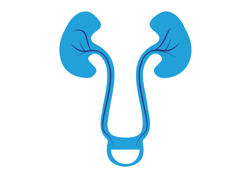 Spesialis Urologi